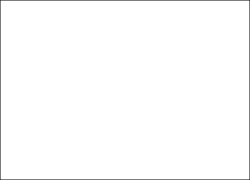 White ActionAid logo
