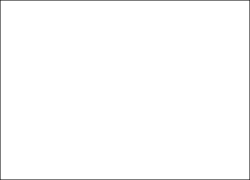 White KPMG logo