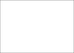 White NHS logo
